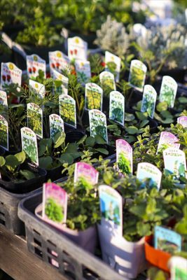 写真 2026-03-11 16 49 55_R_1