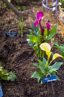 写真 2026-02-26 16 12 20_R_1_1