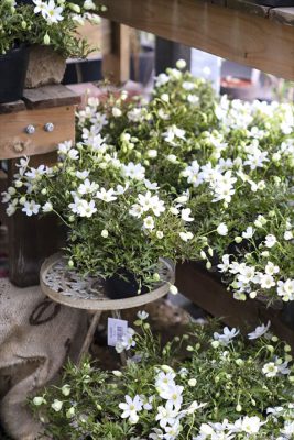 写真 2026-03-19 16 47 29_R_1