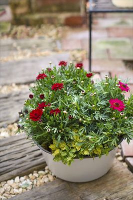 写真 2026-03-20 16 13 35_R_1