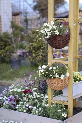 写真 2026-03-19 18 12 58_R_1