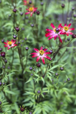 写真 2026-03-25 15 45 20_R_1