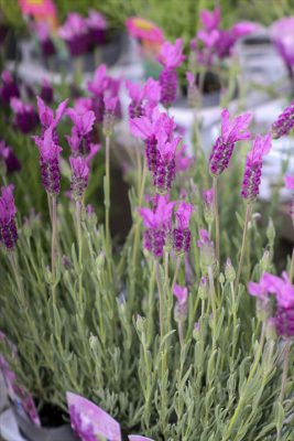 写真 2026-03-19 16 50 27_R_1