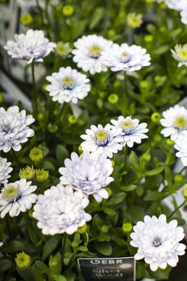 写真 2026-03-28 17 19 57_R_1