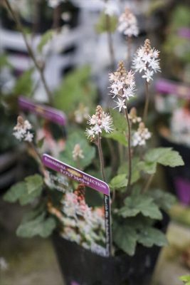 写真 2026-02-27 16 48 46_R_1