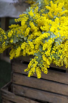 写真 2026-03-06 16 47 51_R_1