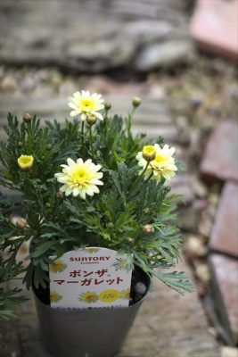 写真 2026-03-04 16 36 26_R_1