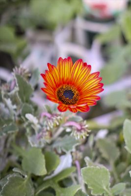 写真 2026-03-01 15 25 08_R_1