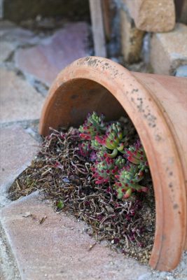 写真 2026-03-17 16 49 16_R_1