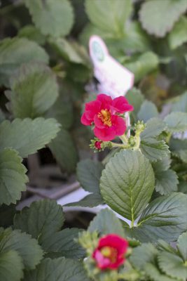 写真 2026-03-04 16 45 19_R_1