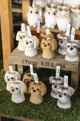 写真 2026-02-28 16 27 52_R_1