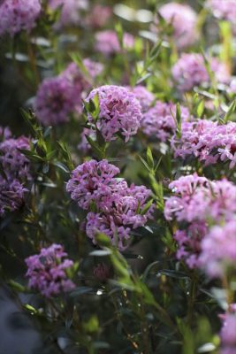 写真 2026-03-04 16 46 44_R_1