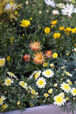 写真 2026-03-19 18 13 27_R_1