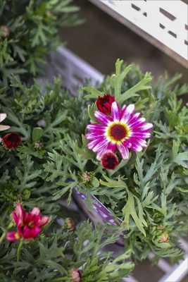 写真 2026-03-19 16 48 55_R_1