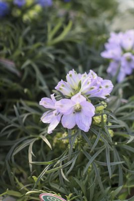 写真 2026-03-26 16 40 04_R_1