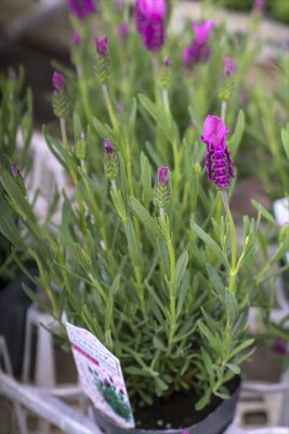 写真 2026-03-19 16 49 48_R_1