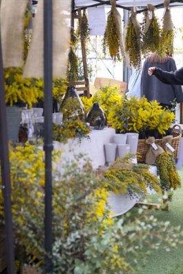 写真 2026-03-07 10 49 35_R_1