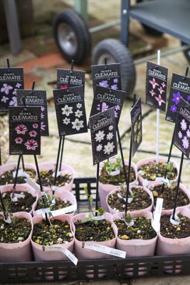 写真 2026-03-06 16 43 28_R_1