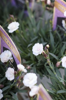 写真 2026-03-23 17 42 15_R_1