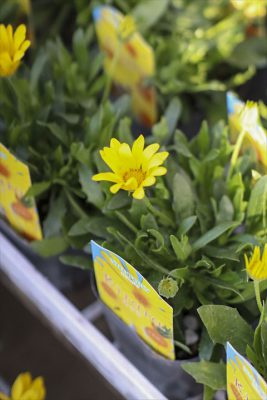 写真 2026-03-04 16 34 48_R_1