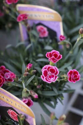 写真 2026-03-23 17 42 00_R_1