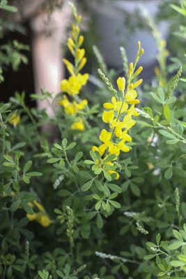 写真 2026-03-04 16 33 50_R_1