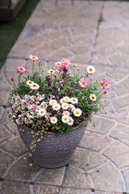 写真 2026-03-01 16 19 53_R_1