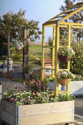 写真 2026-03-19 16 51 52_R_1