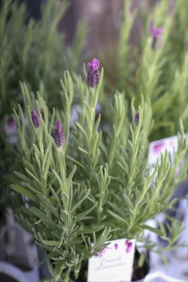 写真 2026-03-04 16 37 19_R_1