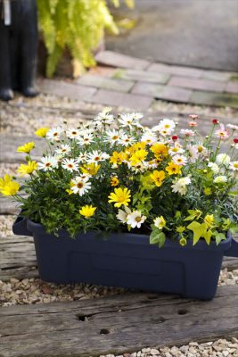 写真 2026-03-27 16 50 12_R_1