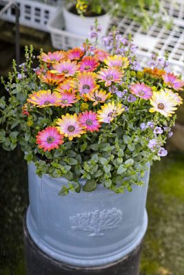 写真 2026-03-11 16 55 38_R_1