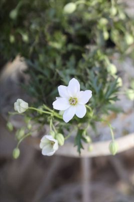 写真 2026-03-14 17 04 52_R_1