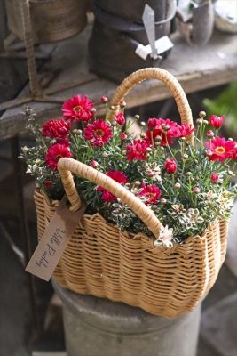 写真 2026-03-17 16 56 11_R_1