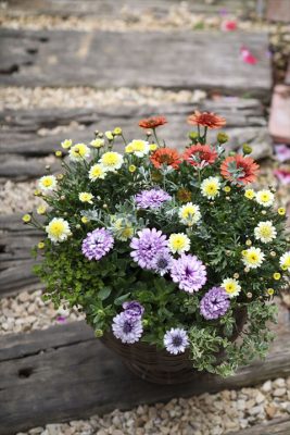 写真 2026-04-03 17 22 39_R_1