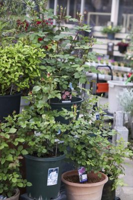 写真 2026-04-25 17 59 45_R_1