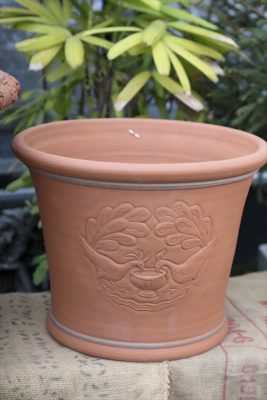 写真 2026-04-11 17 12 55_R_1