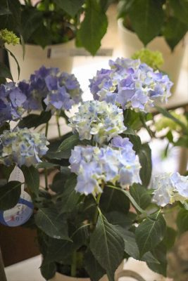 写真 2026-04-04 16 50 37_R_1