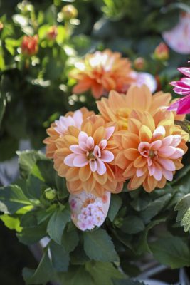 写真 2026-04-02 16 37 54_R_1