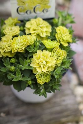 写真 2026-04-16 16 38 44_R_1