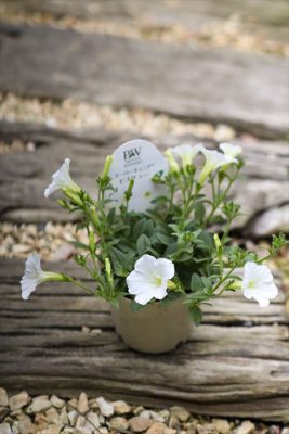 写真 2026-04-12 16 20 21_R_1