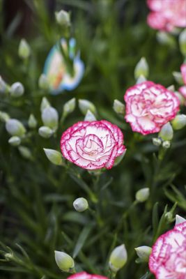 写真 2026-04-26 15 44 01_R_1