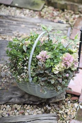 写真 2026-04-05 16 26 21_R_1