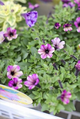 写真 2026-04-10 16 53 32_R_1