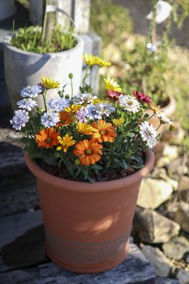 写真 2026-04-02 16 42 36_R_1