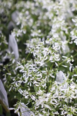 写真 2026-04-03 17 15 38_R_1