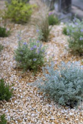 写真 2026-04-17 17 19 36_R_1