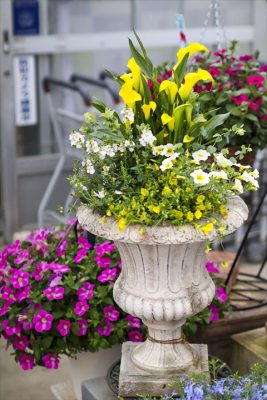 写真 2026-04-26 16 28 05_R_1