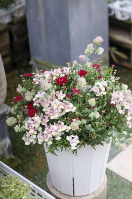 写真 2026-04-03 17 20 36_R_1