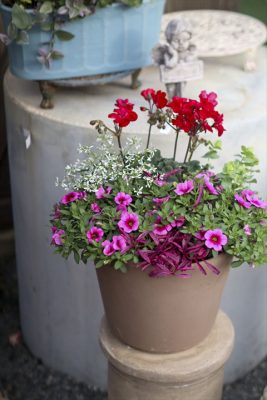 写真 2026-04-24 17 05 34_R_1