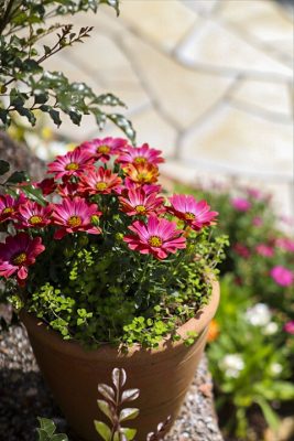 写真 2026-04-07 10 53 50_R_1